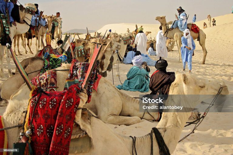 "Camels and Tuareg Herders near Timbuktu, Mali, West Africa.More photos of Timbuktu are in"